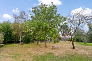 Will O' The Wisp- click for photo gallery